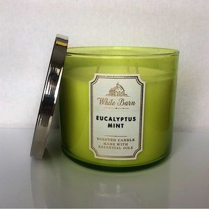 Bath and Body Works Eucalyptus Mint Candle